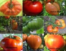 LOTS DE 5 SACHETS DE 20