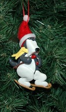 Dog, Canine, Snow Ski, Skiing