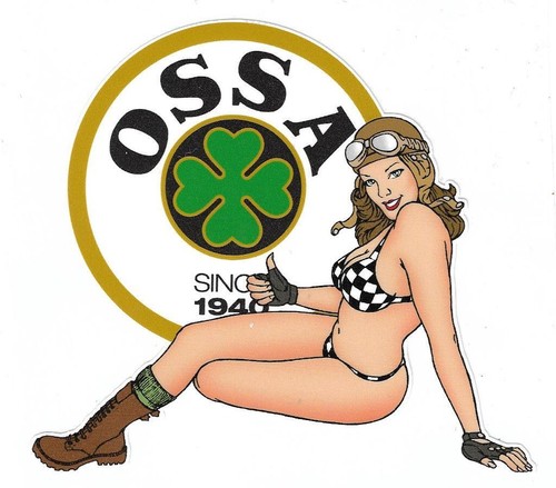 Ossa rangos left pin up - rangos,