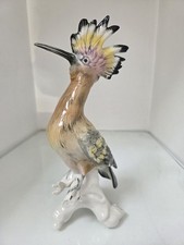 karl ens Oiseau Huppe Faciée