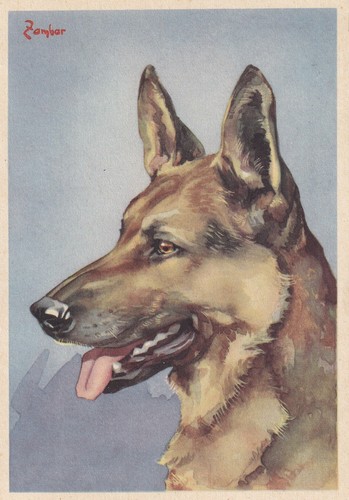 Postcard postcard 10x15c
