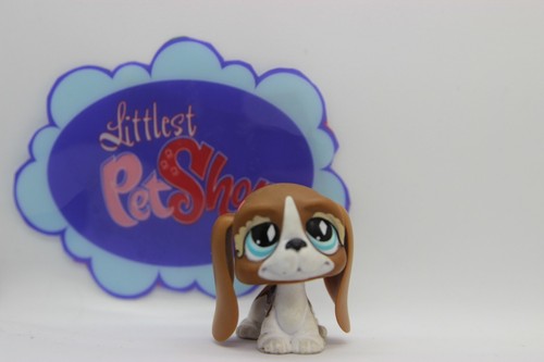 Authentic littlest pet shop - authentic,