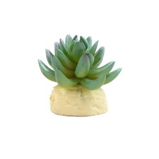 Cactus Plastique Vert Reptile