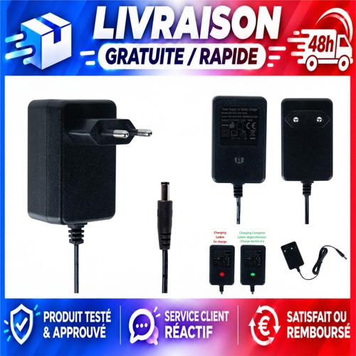 Chargeur 12v pour voiture - 1a,