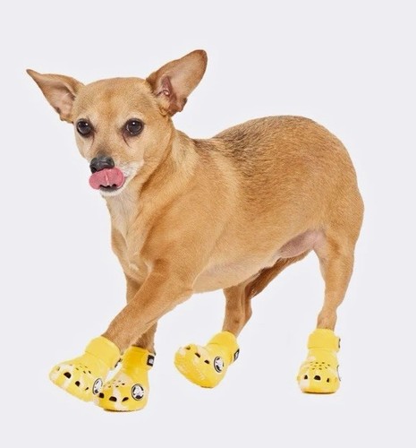 Crocs adjustable rubber - crocs, dog