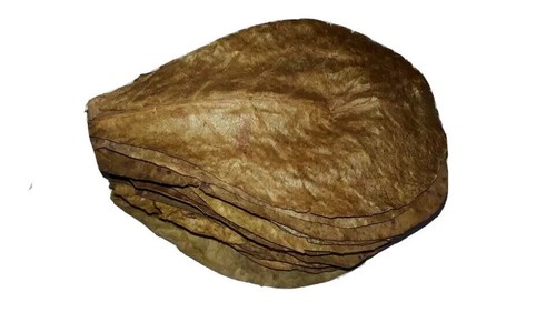 Grande crevette poisson - crevette,