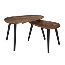 Lot de 2 Tables Basses