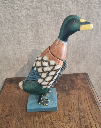 Brosse vêtements canard en - à,