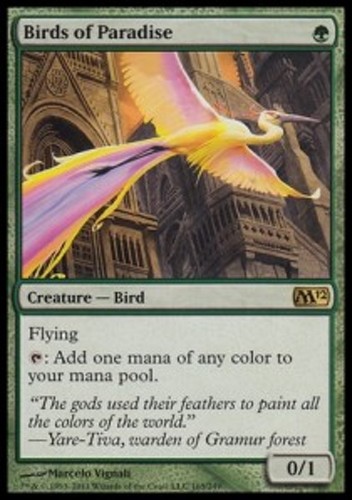 Mrm oiseaux de paradis - *mrm*,