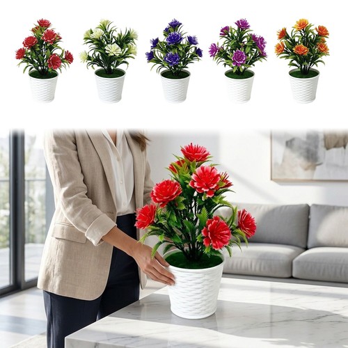 Kapok pour fleur bonsa - kapok, plante
