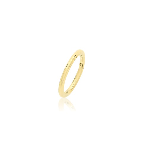 Boucle oreille cartilage - boucle,