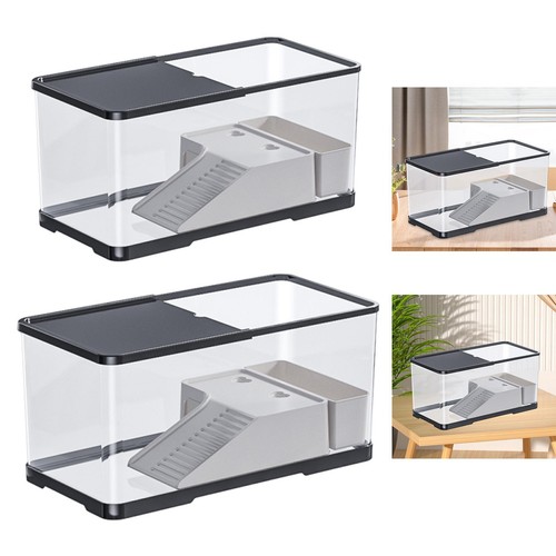 Aquarium pour tortues avec - tortues,,