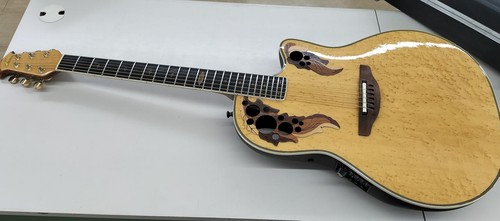 Guitare électrique acoustique