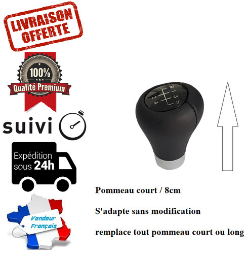 Pommeau vitesse vitesses - 5,