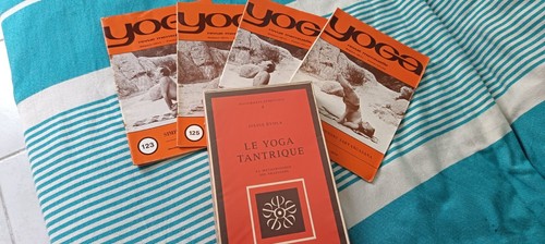 Julius evola yoga tantrique - yoga,
