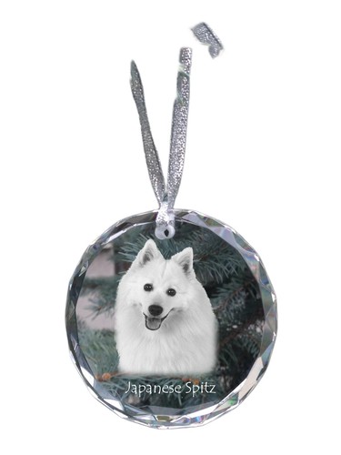 Japan spitz japonais - japan, spitz,
