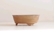 Pot d'arbre bonsaï TENRYU