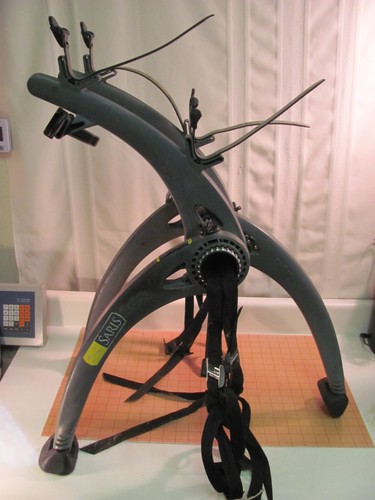 Saris bones bike - bones, 2