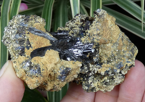 Wolframite chalcopyrite à - &,