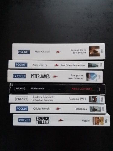 Lot livres pocket polar - lot,