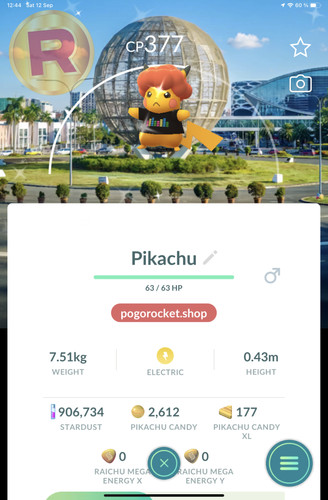 Shiny pikachu red afro - pikachu, hat