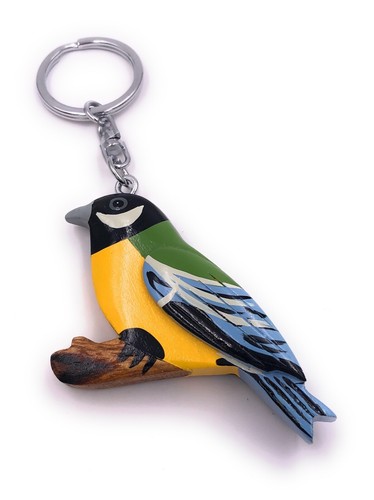 Mésange oiseau coloré - oiseau,