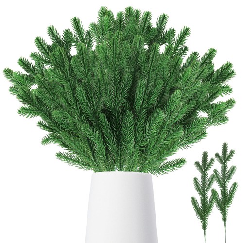 Pièces branche sapin - branche,