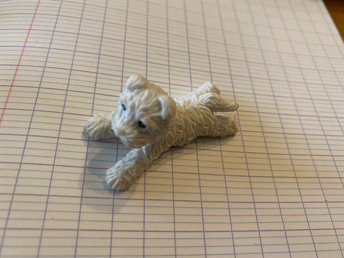 Petit chien puppy - petit,
