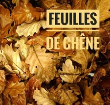 12 Feuilles de Chêne