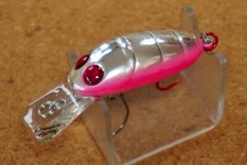 Nories  Crankin Pupa      (B708A2