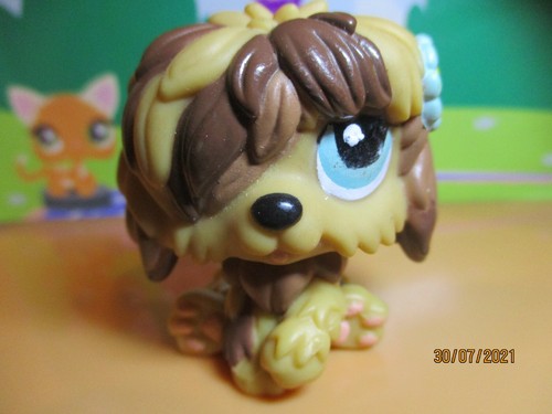Petshop chien bobtail - ,