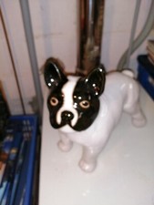 Rare et superbe chien en