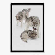 Photo Le salon 50x70cm Cadre