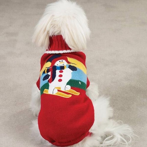 Zack zoey dog sweater - dog,