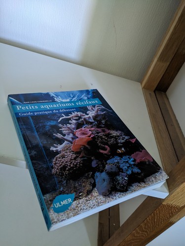 Petits aquariums récifaux