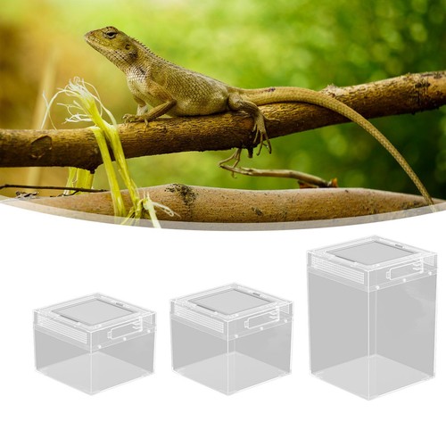 Terrarium pour reptiles abri - reptiles,,