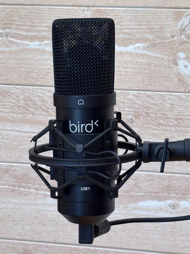 Microphone usb bird - bird, um1