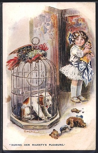 Carte postale artiste chien - carte,