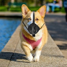  Museliere Filet Chien Masque