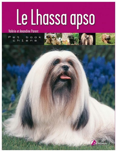 Lhassa apso - le,