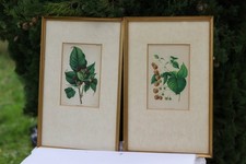 Duo cadre doré avec