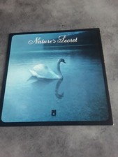 DISQUE VINYL 33T " MICHAEL CASSIDY " NATURES'SECRET-1979 GOPAL PRODUCTIONS