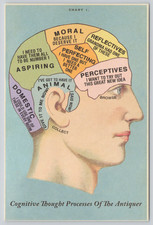 Postcard Phrenology Head Chart Diagram Cranium Size & Shape Psychology