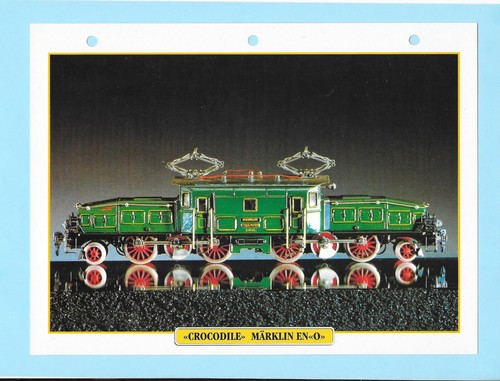 Fiche atlas crocodile - fiche,
