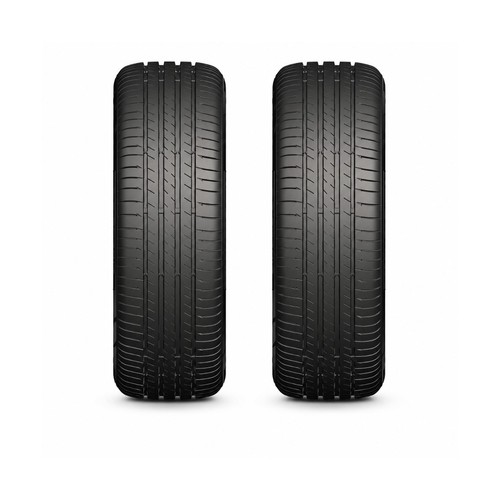 Horseshoe tokmak new - horseshoe,