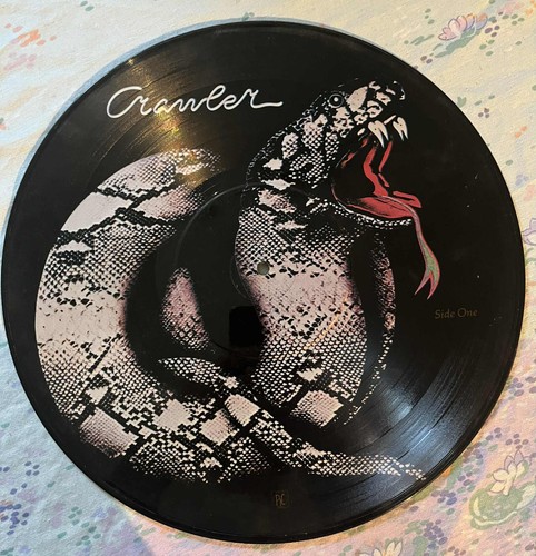 Picture disc crawler - picture,
