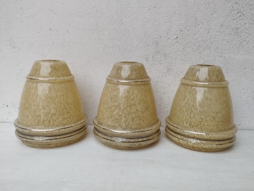 Tulipes verre de - 3,