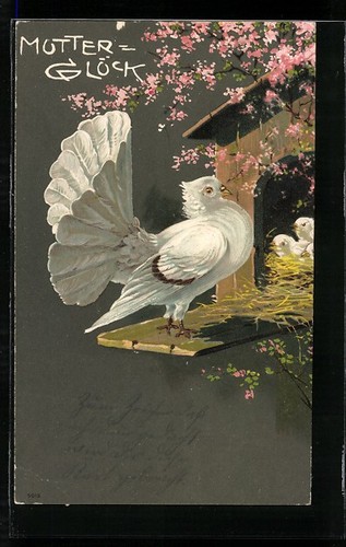 Carte postale mère pigeon - carte,