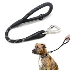 Laisse Courte pour Chien, avec