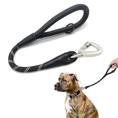 Laisse courte pour chien avec - courte,